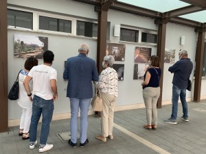 IMG_2882